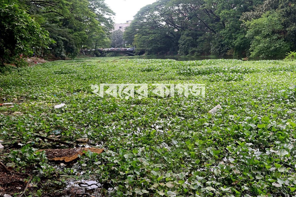ধানমন্ডি লেক